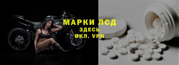 a pvp Аркадак