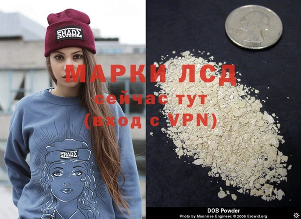 a pvp Аркадак
