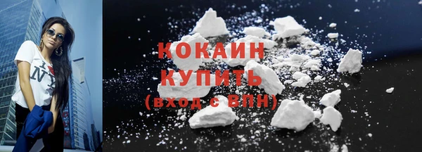 индика Армянск