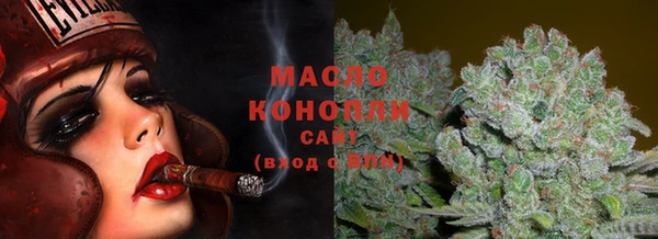 индика Армянск